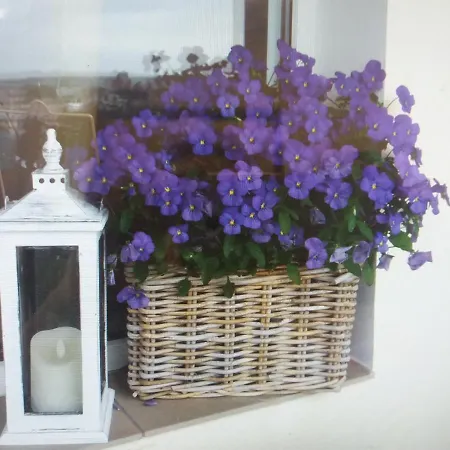 Centrum 9 Apartamento Kołobrzeg