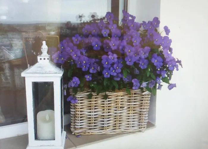 Centrum 9 Apartamento Kołobrzeg